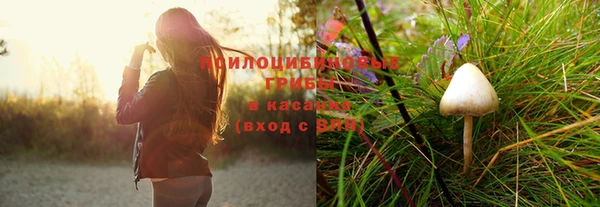 МДПВ Переславль-Залесский